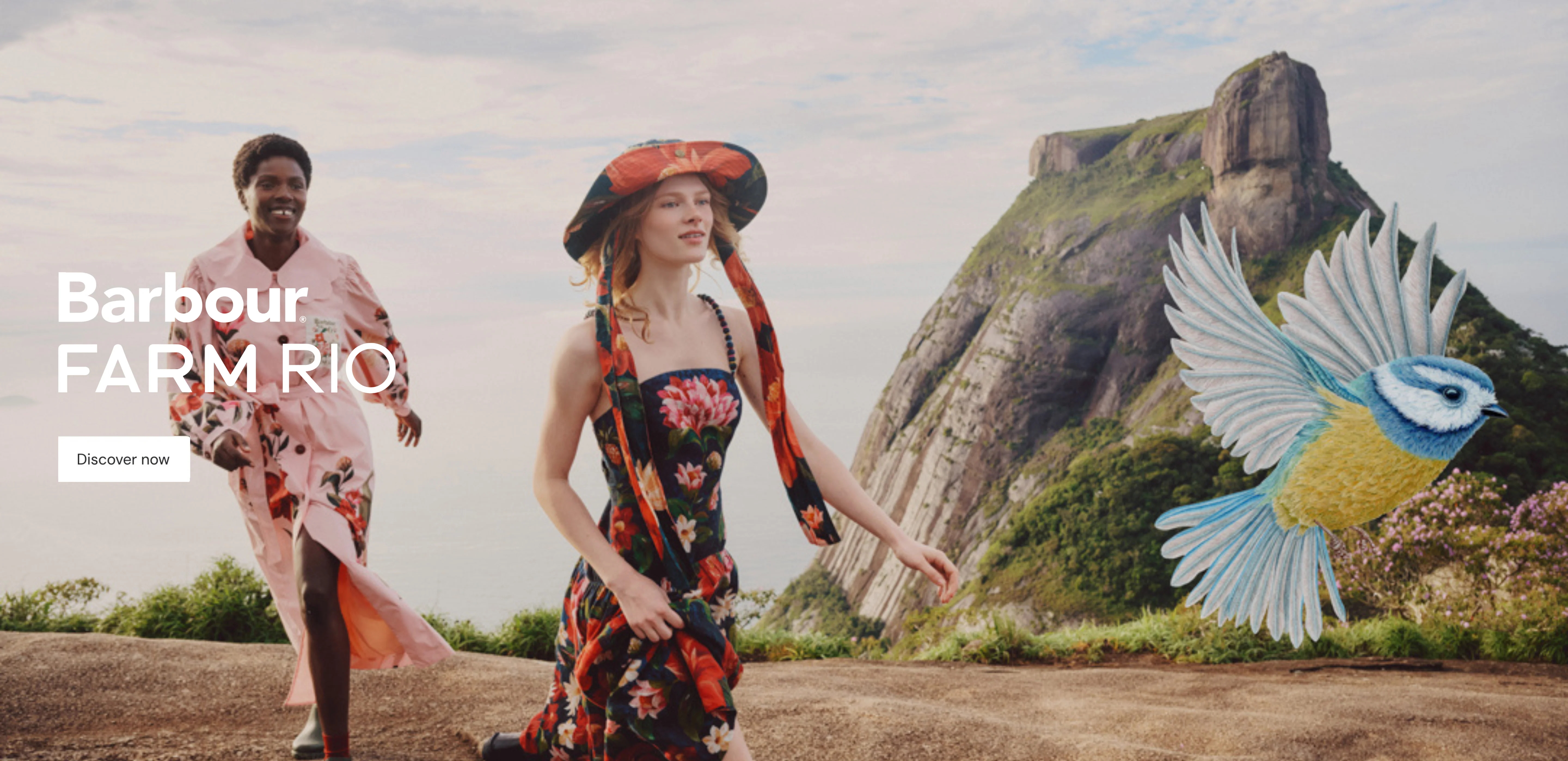 Elevated Style, Curated for You